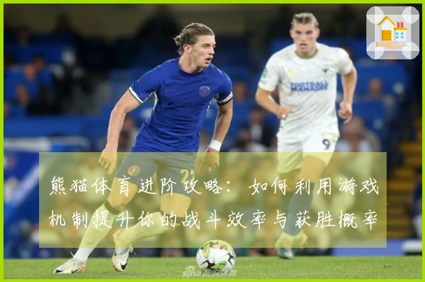 熊猫体育进阶攻略：如何利用游戏机制提升你的战斗效率与获胜概率